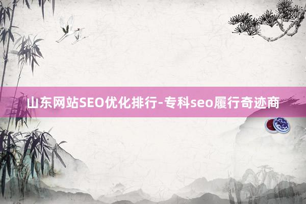 山东网站SEO优化排行-专科seo履行奇迹商