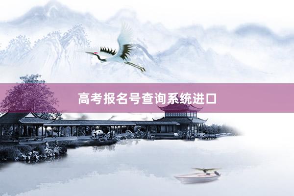 高考报名号查询系统进口